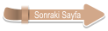 Sonraki Sayfa
